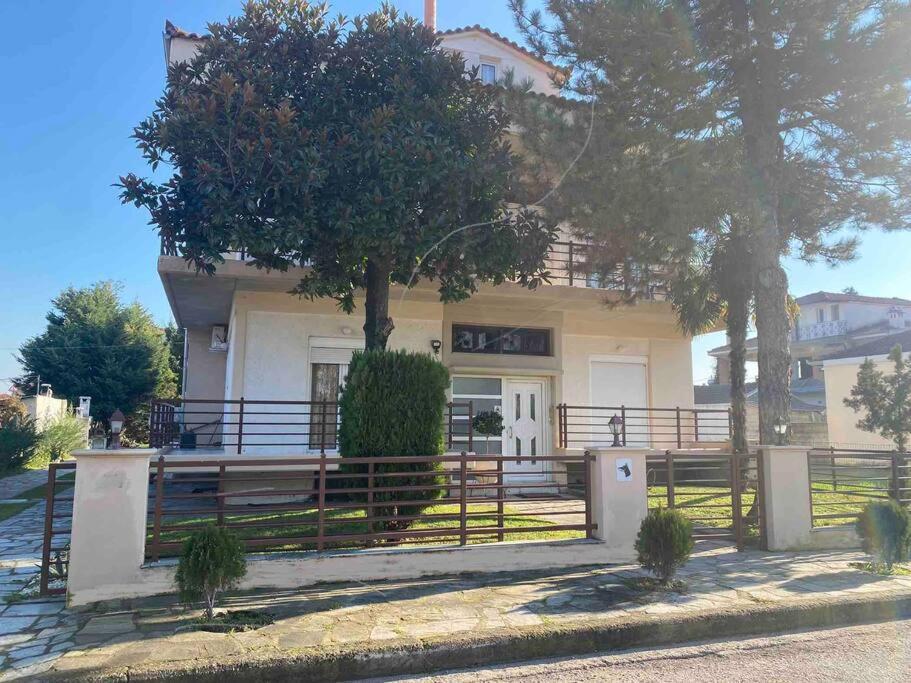 Family'S Home Trikala Exterior photo